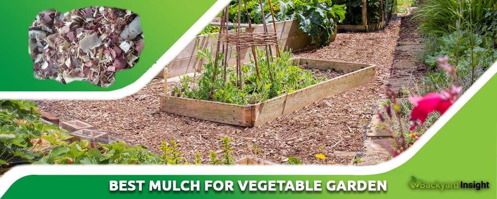 Best Mulch for Vegetable Garden of 2022