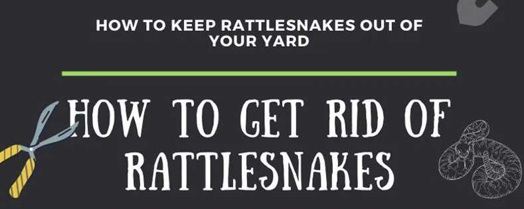 How to get rid of rattlesnakes