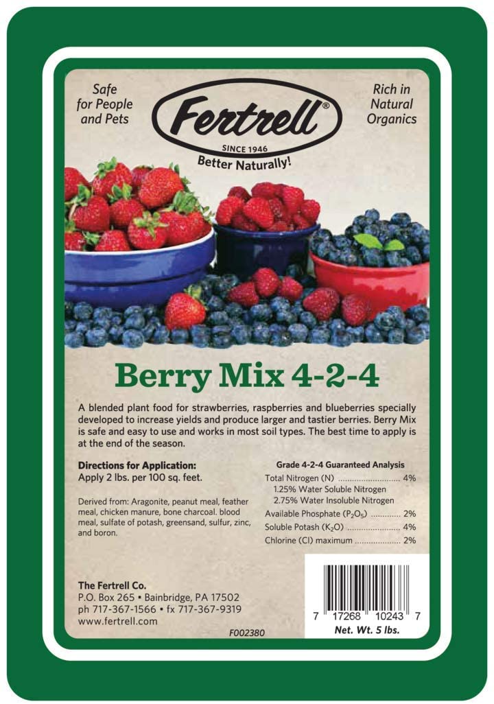 strawberries-fertilizer