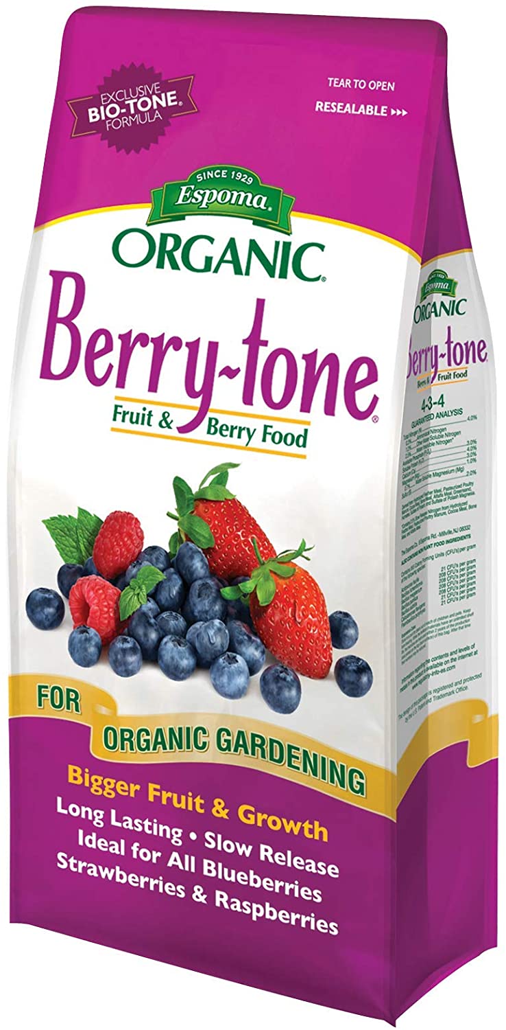 Best-fertilizer-for-strawberries